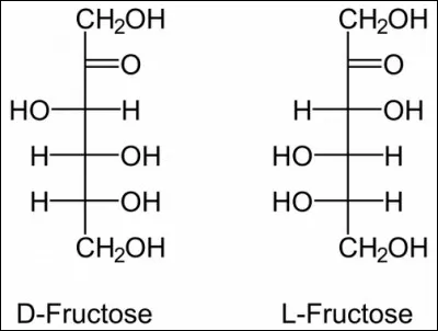 Le fructose est utilisé chez le sportif :