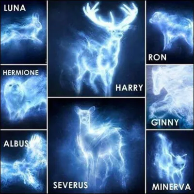 Ton patronus serait...