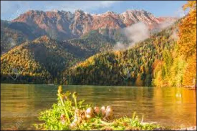 Le territoire géorgien abrite actuellement 2 États non reconnus par l'ONU, à savoir :