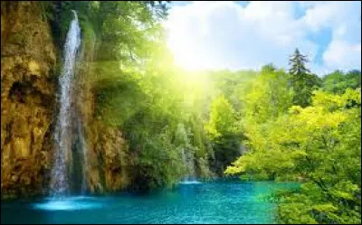 Aimes-tu la nature ?