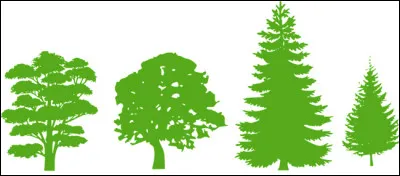 Quel arbre préfères-tu ?