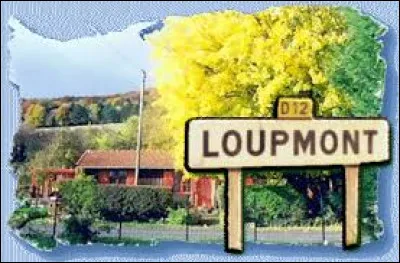 Petit village de 75 habitants, dans le parc naturel régional de Lorraine, Loupmont se situe dans le département ...