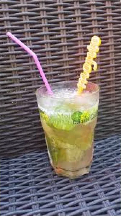 Que collectionne un tudiculaphile ?