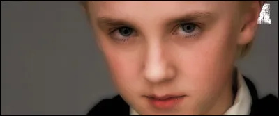 Aussi insolent que son père, Malefoy fils profite de son illusoire supériorité pour asticoter Harry et ses amis, sept années durant. Une lueur d'espoir, 19 ans après ?