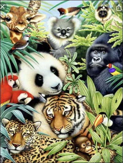 Quel animal te ressemble le plus ?