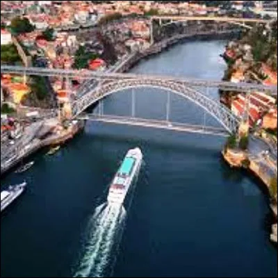 Quel fleuve forme la fronti&egrave;re entre l'Espagne et le Portugal avant de se jeter dans l'oc&eacute;an Atlantique pr&egrave;s de Porto ?
