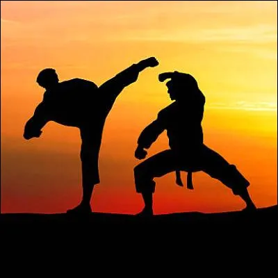Quel art martial porte un nom signifiant ''main vide'' ?