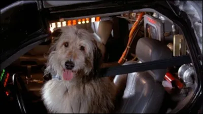 Comment se nomme le chien du Doc ?