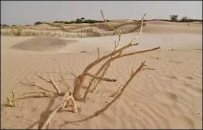 Histoire - Le Bénin fut colonisé par...