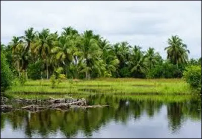 Indépendance - Il obtint l'indépendance de ce pays en...