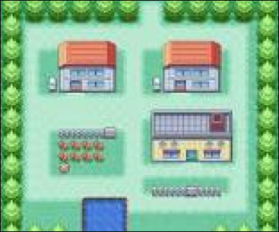 Dans le 1er opus de la série de jeux vidéo "Pokémon Rouge et Bleu", quelle est la ville natale de notre héros ?