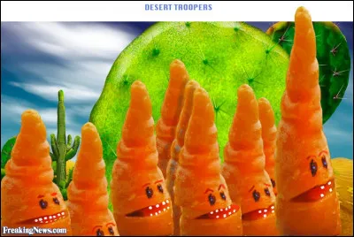 Vous savez sûrement dire "carotte" en anglais, mais comment ça s'écrit ?