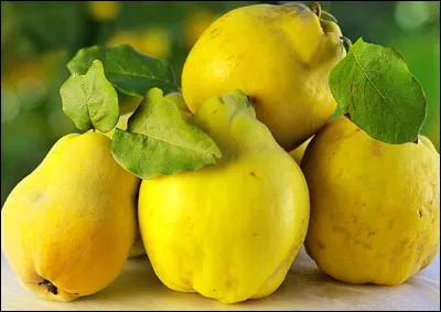 Et "coing" en anglais, ça donne :