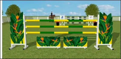 Si on te montrait ça, comment réagirais-tu ?