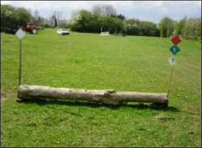 Si on te montre ça, comment réagirais-tu ?