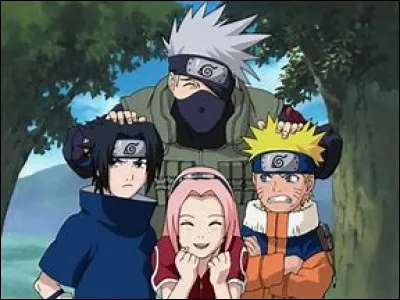 Qui sont les co-&eacute;quipiers de Naruto ?