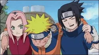 Vers la fin de la saison 1, Naruto et son &eacute;quipe passent un examen pour &ecirc;tre des vrais ninjas, Lequel ?