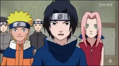Quel est le num&eacute;ro de l'&eacute;quipe de Naruto ?