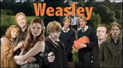 Et enfin, où les Weasley partent-il en vacances la 3e année ?