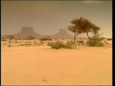 Nature - Le Yémen est en partie occupé par ...