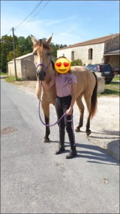 Quelle est la robe du cheval ?