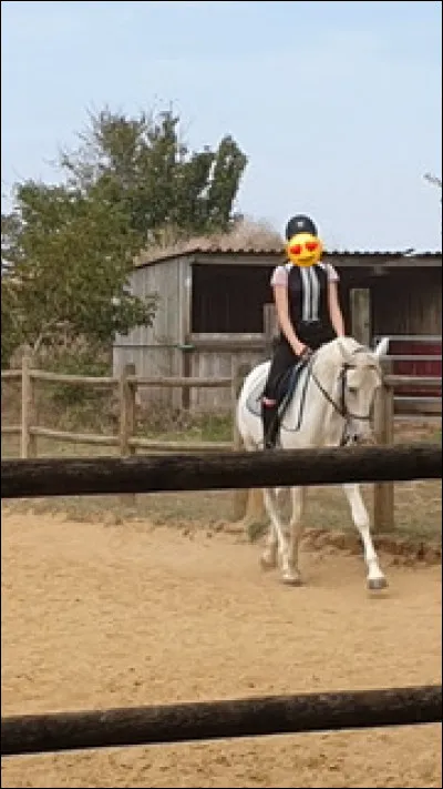 Quelle est la robe du cheval ?