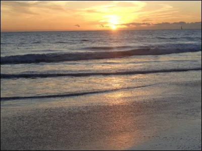 Quel est le pluriel de "gratte-ciel" ?