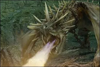 Quel dragon Harry dut-il éviter afin de s'emparer de l'œuf d'or ?