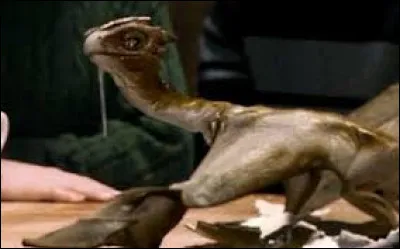 Comment Hagrid a-t-il acquéri l'œuf de dragon ?