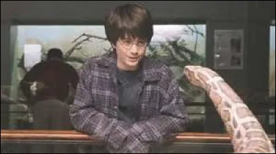 Comment se fait-il que Harry parle fourchelang ?