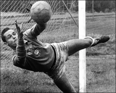 Reconnu pour n'avoir encaissé que 100 buts lors de ses 96 sélections, quel champion du monde 1958 est considéré comme le meilleur gardien brésilien de tous les temps ?