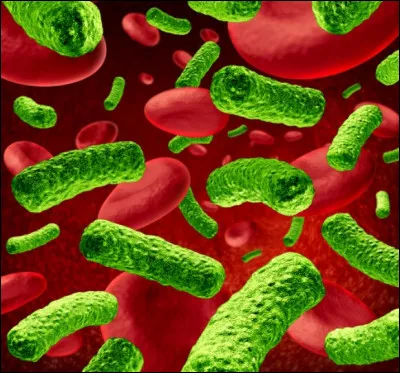 Un envahissement de l'organisme par des bactéries se nomme :