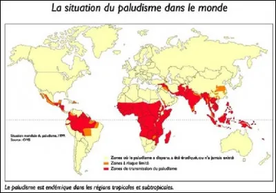 Une maladie infectieuse qui se propage seulement dans certaines régions du monde est appelée :