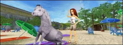 Complétez : Fort Pinta et...