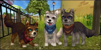 Où se trouvent les deux animaleries ?