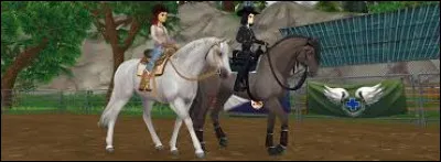 La barre d'augmentation de niveau de la cavalière est...