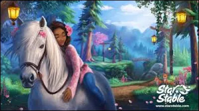 "Star Stable Online" veut dire...