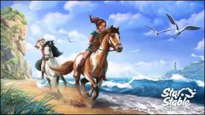 La barre d'augmentation de niveau du cheval est...