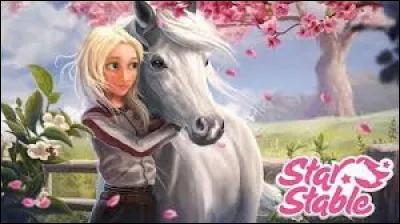 Star Stable est un jeu...