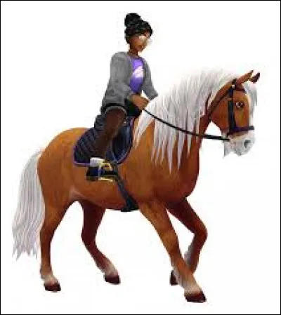 Linda fait partie du...