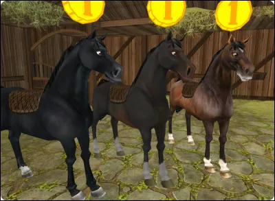Quels sont les tous premiers chevaux qu'on pouvait acheter ?