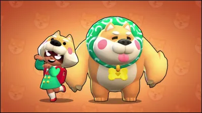 Qui est ce brawler ?