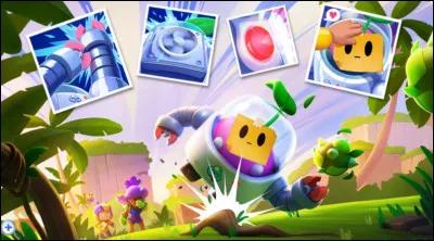 Qui est ce brawler ?