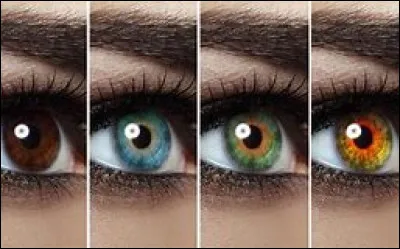 Quelle est la couleur de tes yeux ?