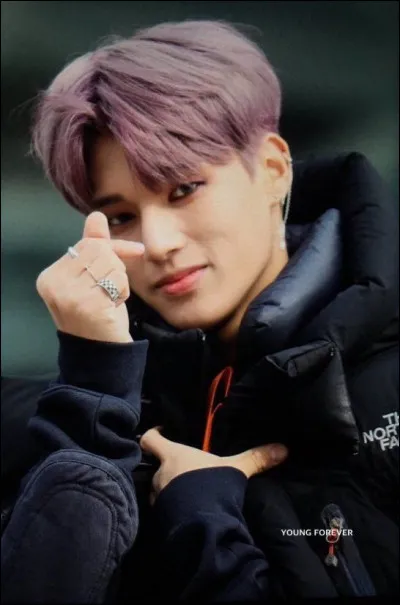 Quel est le signe astrologique de Wooyoung ?