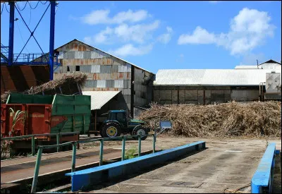Où se trouve la grande usine de Marie-Galante ?