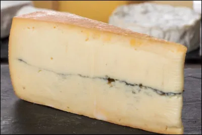 Comment s'appelle ce fromage ?