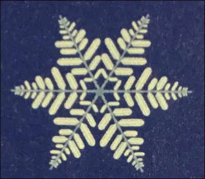 Comment appelle-t-on cette forme de flocon ?