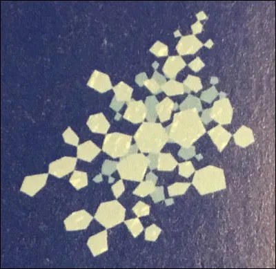 Comment appelle-t-on cette forme de flocon ?