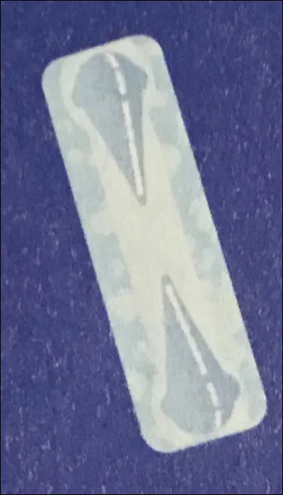 Comment appelle-t-on cette forme de flocon ?